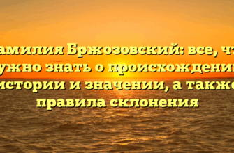 Фамилия Бржозовский: все, что нужно знать о происхождении, истории и значении, а также правила склонения