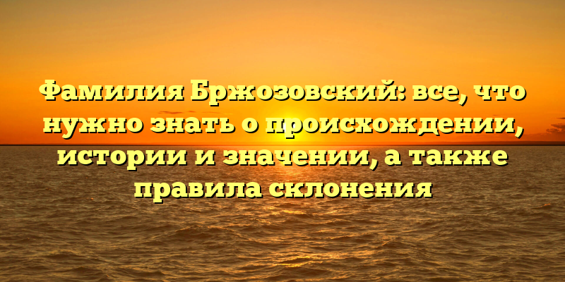 Фамилия Бржозовский: все, что нужно знать о происхождении, истории и значении, а также правила склонения