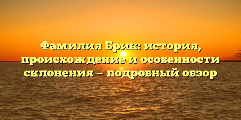 Фамилия Брик: история, происхождение и особенности склонения — подробный обзор