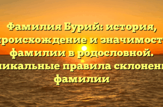 Фамилия Бурий: история, происхождение и значимость фамилии в родословной. Уникальные правила склонения фамилии