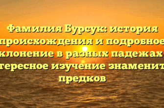 Фамилия Бурсук: история происхождения и подробное склонение в разных падежах — интересное изучение знаменитых предков Фамилия Бурсук: история происхождения и подробное склонение в разных падежах — интересное изучение знаменитых предков
