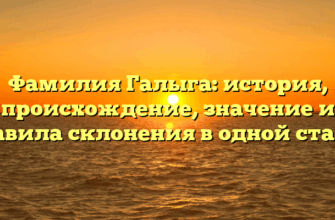 Фамилия Галыга: история, происхождение, значение и правила склонения в одной статье