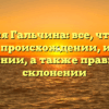 Фамилия Гальчина: все, что нужно знать о происхождении, истории и значении, а также правильном склонении