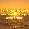 Фамилия Гарас: родословная, интересные факты и правильное склонение