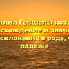 Фамилия Геншель: история, происхождение и значение, полное склонение в роде, числе и падеже