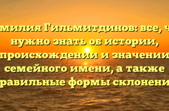 Фамилия Гильмитдинов: все, что нужно знать об истории, происхождении и значении семейного имени, а также правильные формы склонения