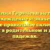 Фамилия Гиричева: история, происхождение и значение, а также правильное склонение имени в родительном и других падежах.
