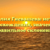 Фамилия Гневашева: история происхождения, значения и правильное склонение