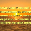 Фамилия Гоба: всё о происхождении, истории и значениях этого имени с примерами склонения для успешного поиска предков