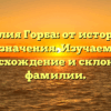 Фамилия Горба: от истории до значения. Изучаем происхождение и склонение фамилии.