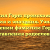 Фамилия Горн: происхождение, история и значения. Узнайте о склонении фамилии Горн для составления родословной