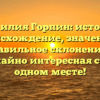 Фамилия Горпин: история, происхождение, значение и правильное склонение — необычайно интересная статья в одном месте!