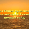 Фамилия Гошев: происхождение, история и значение + склонение — полный гайд
