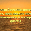 Фамилия Гречина: история и значение, правильное склонение, происхождение и интересные факты