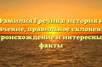 Фамилия Гречина: история и значение, правильное склонение, происхождение и интересные факты Фамилия Гречина: история и значение, правильное склонение, происхождение и интересные факты