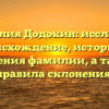 Фамилия Додокин: исследуем происхождение, историю и значения фамилии, а также правила склонения!