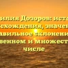 Фамилия Дозоров: история происхождения, значение и правильное склонение в единственном и множественном числе