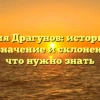 Фамилия Драгунов: исторические корни, значение и склонение – все, что нужно знать