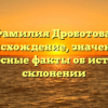 Фамилия Дроботова: происхождение, значение и интересные факты об истории и склонении