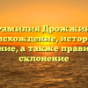 Фамилия Дрожжин: происхождение, история и значение, а также правильное склонение