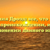 Фамилия Дрозд: все, что нужно знать о происхождении, истории и склонении данного имени