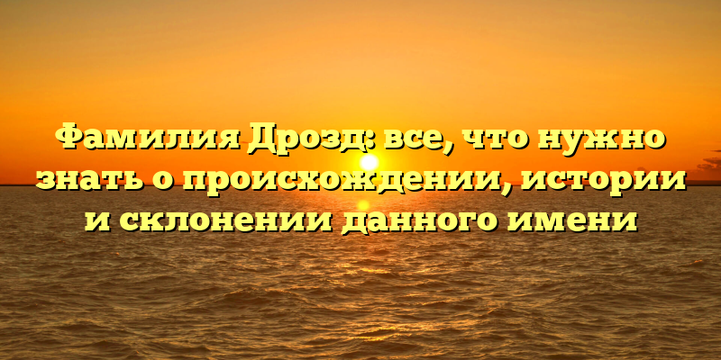 Фамилия Дрозд: все, что нужно знать о происхождении, истории и склонении данного имени