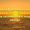 Фамилия Дубченко: история происхождения, значения и правила склонения в подробном обзоре