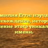 Фамилия Егги: изучаем происхождение, историю и склонение этого уникального имени.