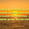 Фамилия Калегин: история происхождения, значение и правильное склонение – все о корнях рода Калегиных