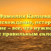 Фамилия Калиева: происхождение, история и значение — все, что нужно знать, вместе с правильным склонением