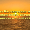 Фамилия Калиниченко: история, происхождение, значение и склонение в одной статье