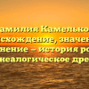 Фамилия Камельков: происхождение, значение и склонение — история рода и генеалогическое древо