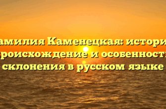 Фамилия Каменецкая: история, происхождение и особенности склонения в русском языке Фамилия Каменецкая: история, происхождение и особенности склонения в русском языке