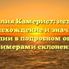 Фамилия Камерист: история, происхождение и значение фамилии в подробном обзоре с примерами склонения
