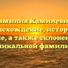 Фамилия Камилевич: происхождение, история и значение, а также склонение этой уникальной фамилии