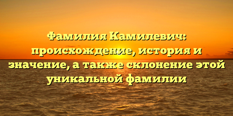 Фамилия Камилевич: происхождение, история и значение, а также склонение этой уникальной фамилии