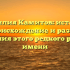 Фамилия Камитов: история, происхождение и разбор склонения этого редкого русского имени