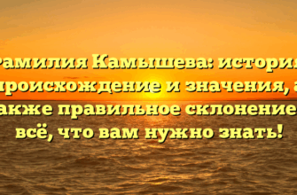 Фамилия Камышева: история, происхождение и значения, а также правильное склонение — всё, что вам нужно знать! Фамилия Камышева: история, происхождение и значения, а также правильное склонение — всё, что вам нужно знать!