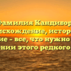 Фамилия Кандибор: происхождение, история и значение – все, что нужно знать о склонении этого редкого имена