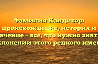 Фамилия Кандибор: происхождение, история и значение – все, что нужно знать о склонении этого редкого имена Фамилия Кандибор: происхождение, история и значение – все, что нужно знать о склонении этого редкого имена
