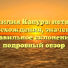 Фамилия Канура: история происхождения, значение и правильное склонение – подробный обзор