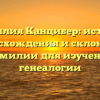 Фамилия Канцибер: история происхождения и склонения фамилии для изучения генеалогии