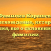 Фамилия Карашев: происхождение, история и значения, все о склонении этой фамилии