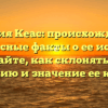 Фамилия Кеас: происхождение и интересные факты о ее истории. Узнайте, как склонять эту фамилию и значение ее корней!