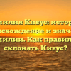 Фамилия Кибус: история, происхождение и значение фамилии. Как правильно склонять Кибус?