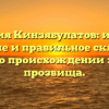 Фамилия Кинзябулатов: история, значение и правильное склонение – все о происхождении этого прозвища.