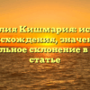 Фамилия Кишмария: история происхождения, значение и правильное склонение в одной статье
