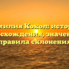 Фамилия Кокол: история происхождения, значение и правила склонения