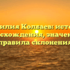 Фамилия Колбаев: история происхождения, значения и правила склонения