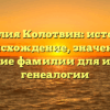 Фамилия Колотвин: история и происхождение, значение и склонение фамилии для изучения генеалогии